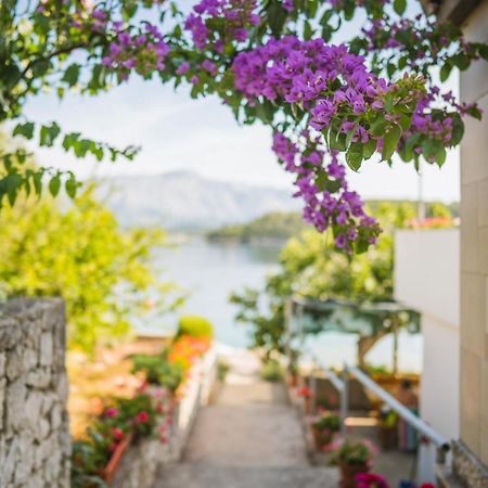 Apartments By The Sea Lumbarda, Korcula - 4446 외부 사진