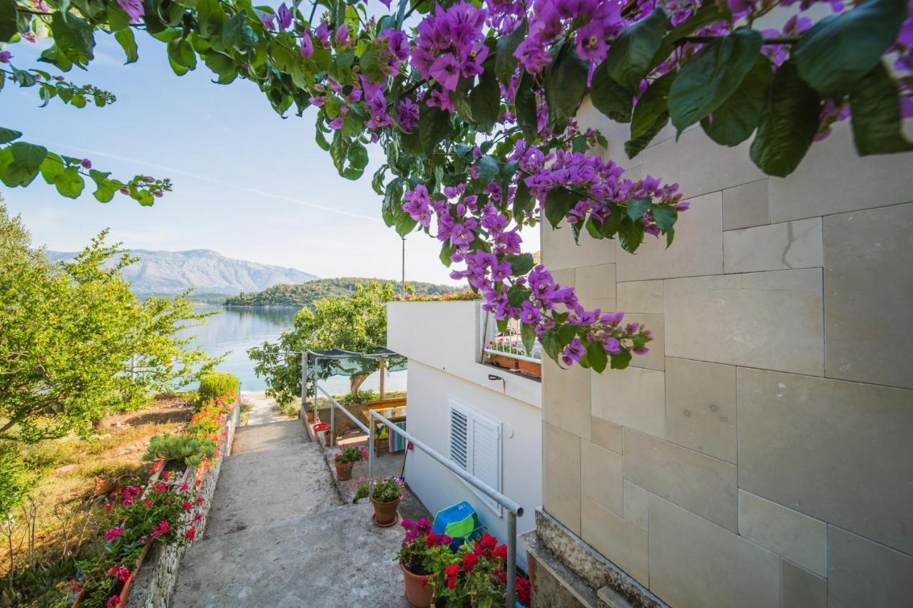 Apartments By The Sea Lumbarda, Korcula - 4446 외부 사진